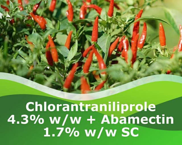Carbosulfan 200g/l sắp bị cấm: Chlorantraniliprole 4.3% + Abamectin 1.7% SC có thay thế được không?