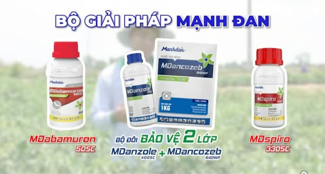 Quy Trình Kỹ Thuật Bộ Giải Pháp Mạnh Đan Cho Ớt Sừng Vàng: Phòng Trị Trọn Bộ Sâu Xanh, Bọ Trĩ, Thán Thư Và Vàng Lá Chân
