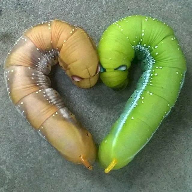 Thuốc trừ sâu mới trong Danh mục 2025 (so với 2024)