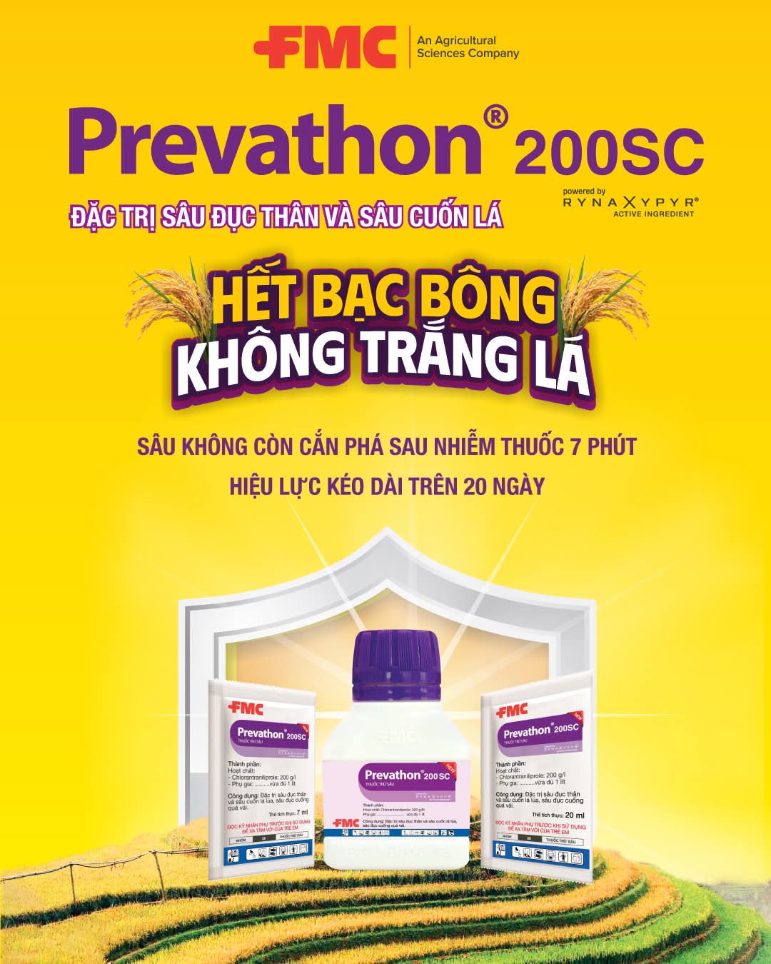 Cùng 1 Hoạt Chất: Hàm Lượng Cao, Thấp Hơn Có Ưu Nhược Điểm Như Thế Nào?