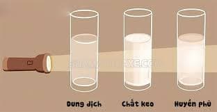 Thuốc SC Dạng Sữa Là Gì Mà "Mát" Cây? Gọi Dạng Sữa Có Gây Ra Hiểu Lầm Gì Tai Hại Không?