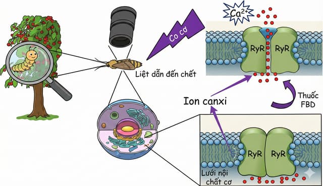 Sau 20 Năm Ra Mắt, Flubendiamide Từng Được Kỳ Vọng Là Vũ Khí Cuối Cùng Cho Sâu Kháng Thuốc Giờ Ra Sao?