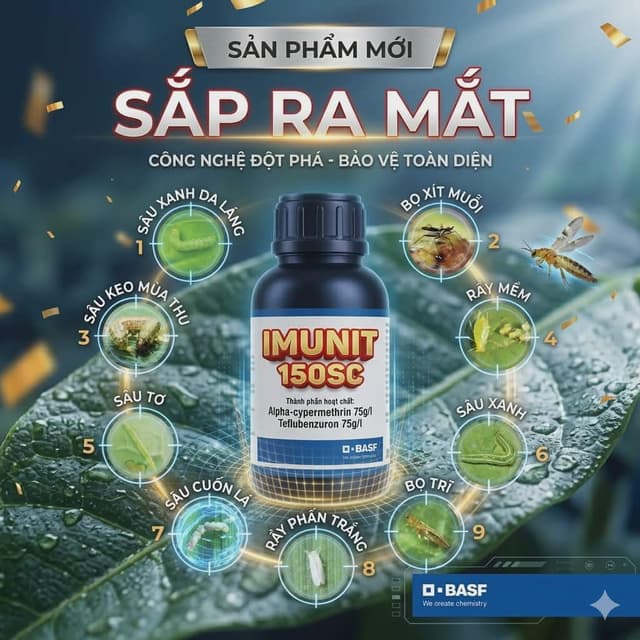 Imunit 150SC Có Đang Khoác Lên Người Chiếc Áo Quá Rộng?