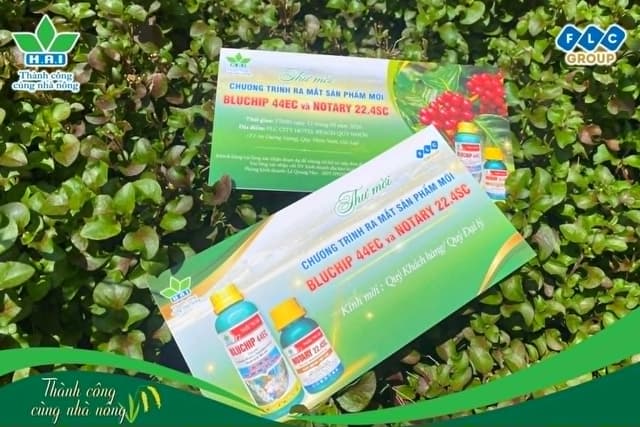 Bluchip 44EC Và Notary 22.4SC: Đánh Giá Khoa Học Hai "Át Chủ Bài" Mới Của Nông Dược HAI